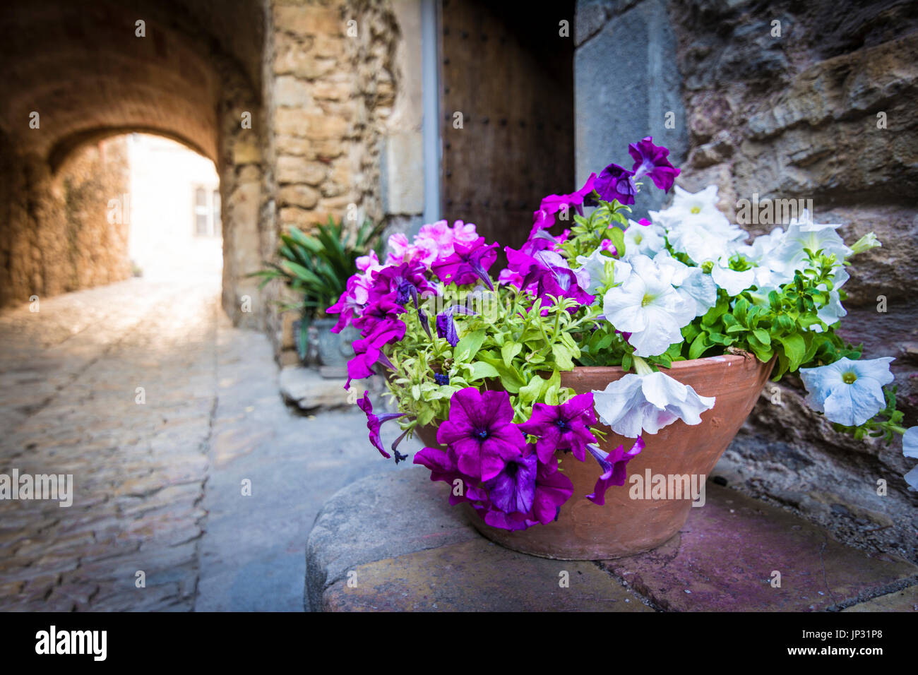 Bianco e fiori di magenta in Peratallada. È una pittoresca città vecchia medievale nel cuore della Costa Brava Catalogna. Foto Stock