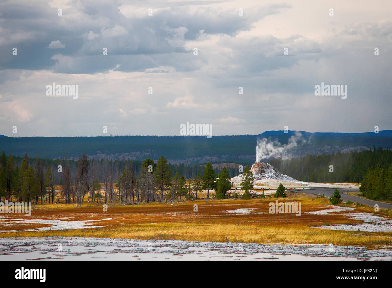 Cupola Bianca Geyser nel Parco Nazionale di Yellowstone Foto Stock