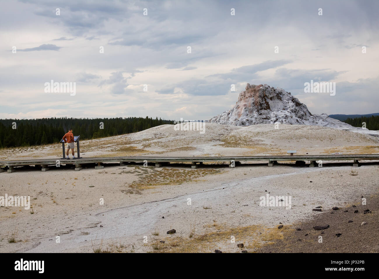 Cupola Bianca Geyser nel Parco Nazionale di Yellowstone Foto Stock