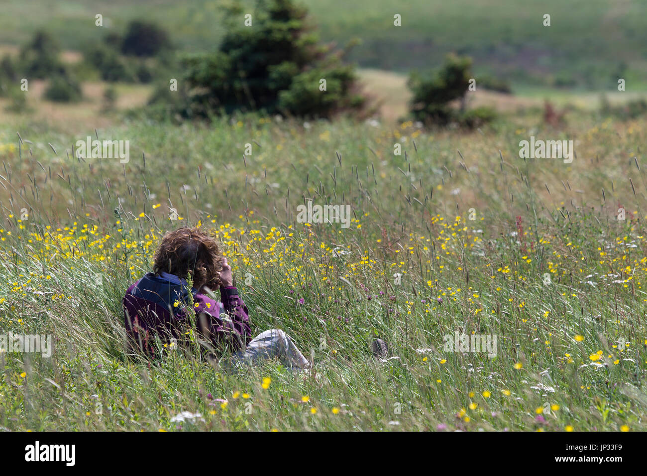 Signora fotografo sdraiato in erba alta Foto Stock