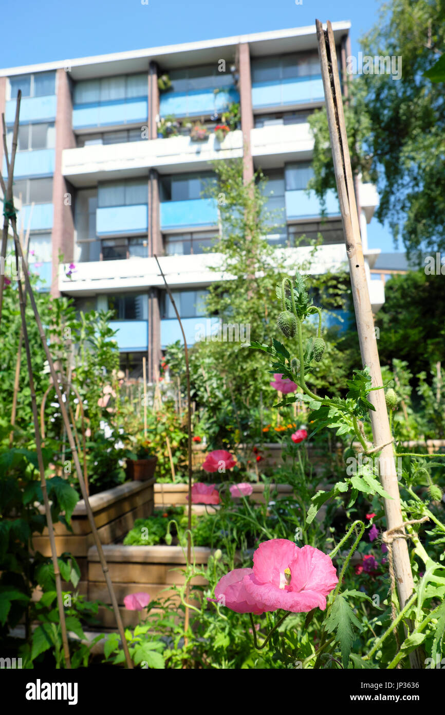 Community Garden e appartamenti moderni sulla Golden Lane Estate vicino al Barbican nella città di Londra EC2 UK KATHY DEWITT Foto Stock