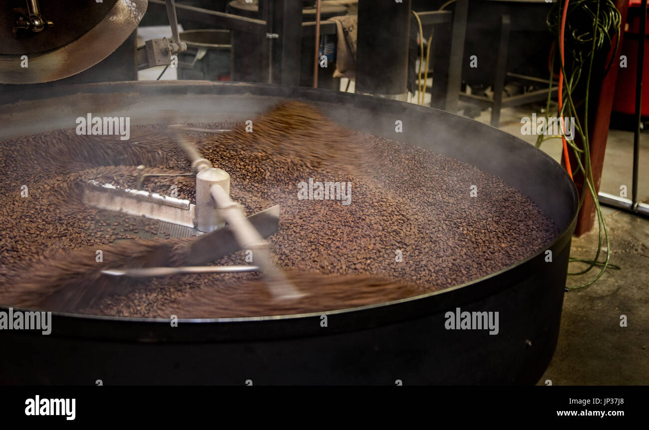 I chicchi di caffè raffreddamento dal tostatore Foto Stock