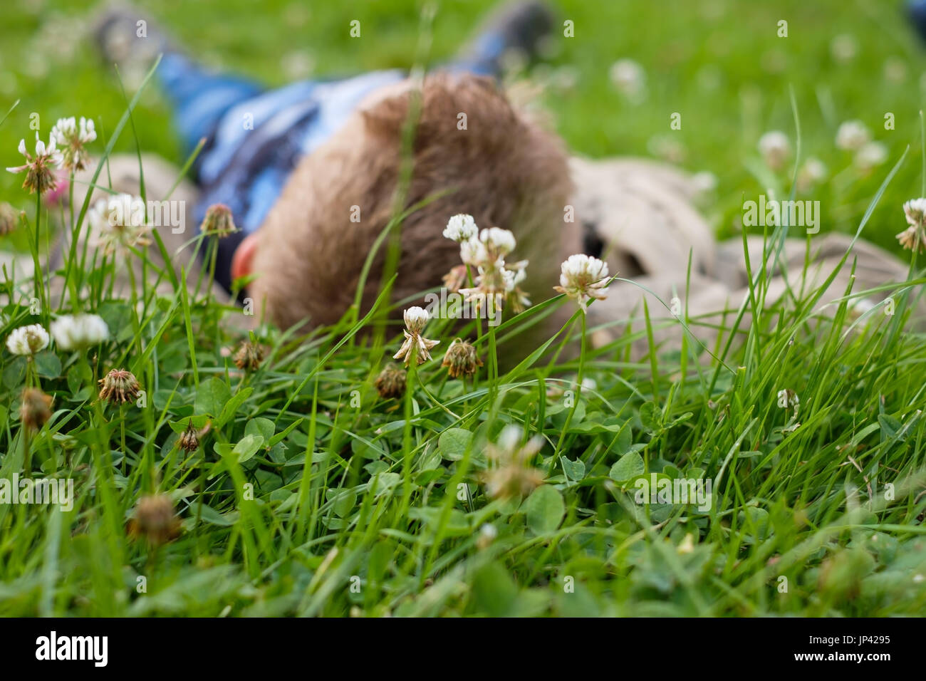 Ragazzo che giace sull'erba all'aperto in estate park Foto Stock