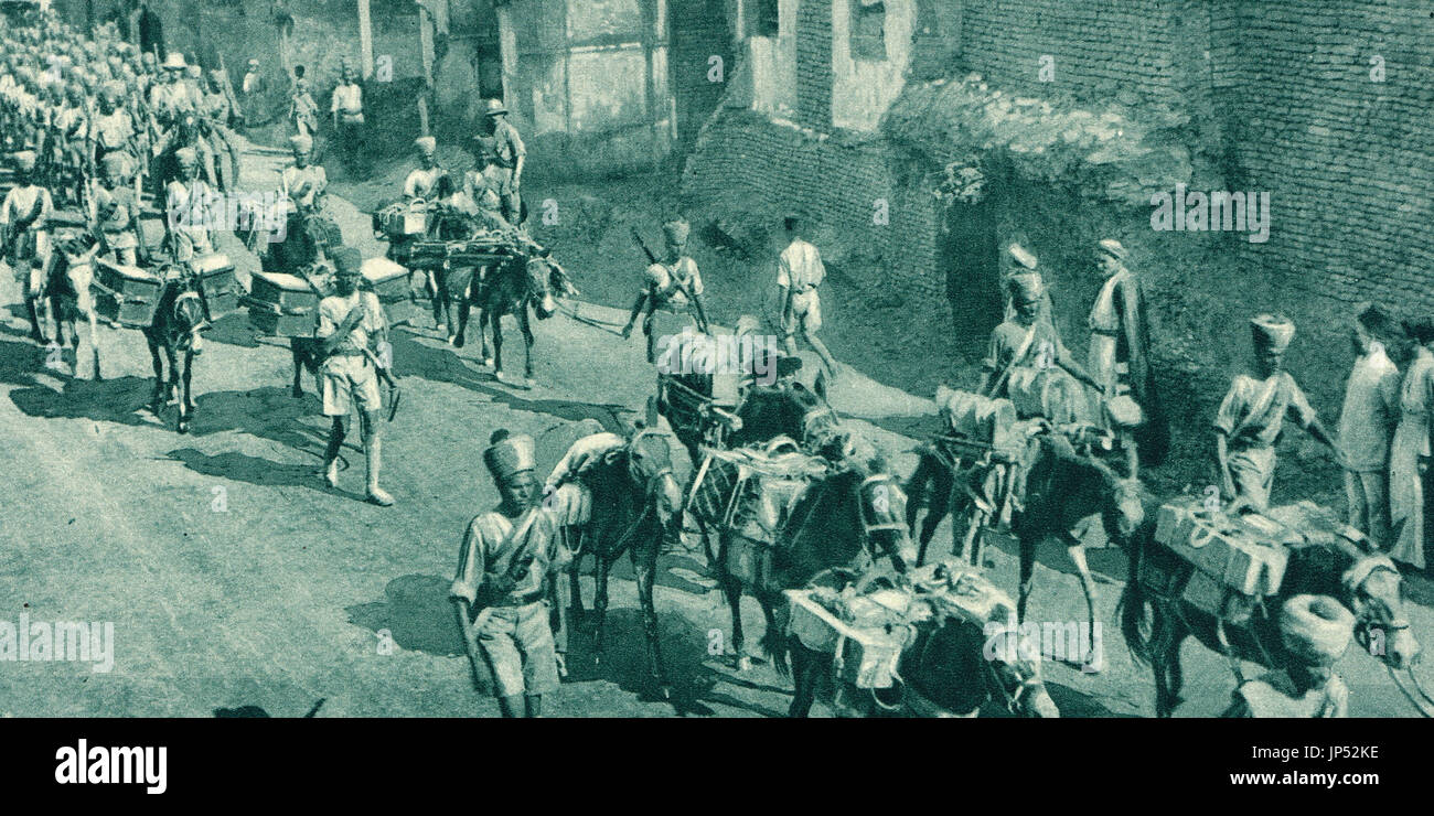 Truppe indiane & Mule trasporti, Baghdad, 1917 Foto Stock