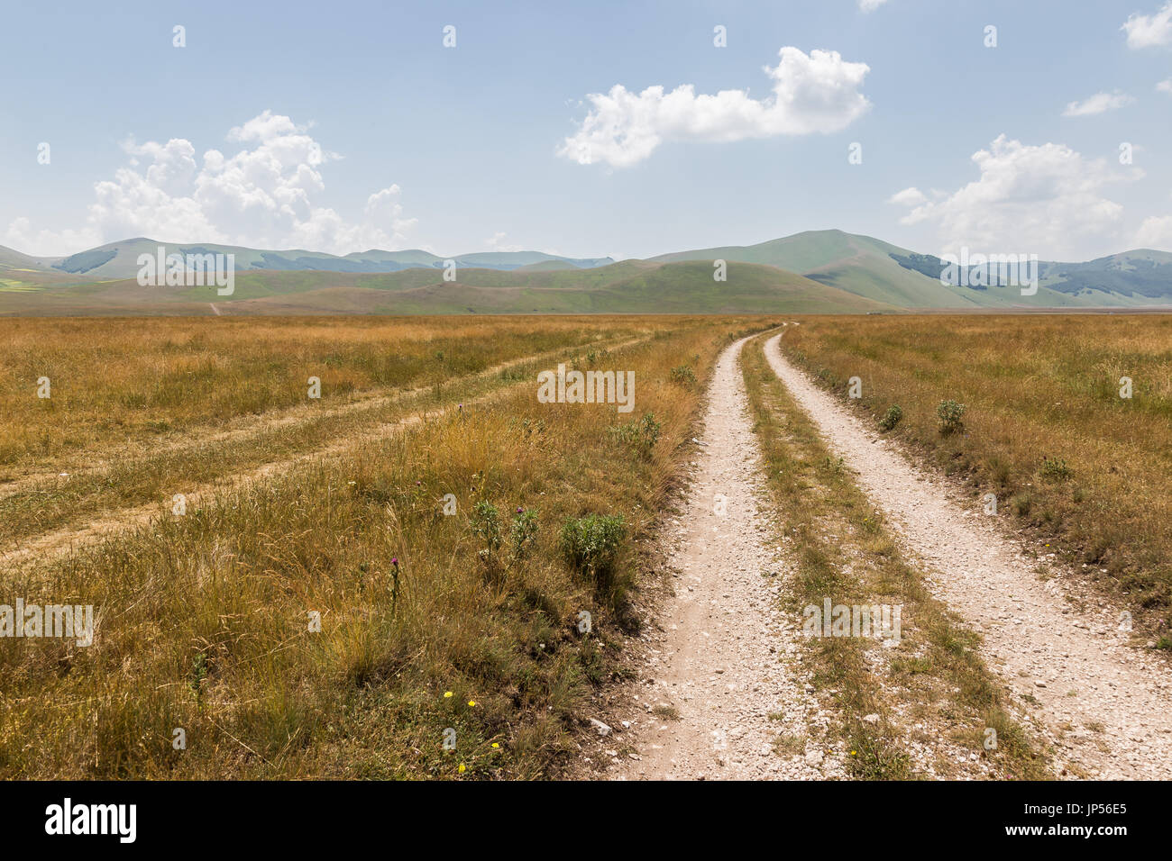 Una lunga strada di campagna nel centro di Pian Grande, vicino a Castelluccio di Norcia (Umbria) Foto Stock