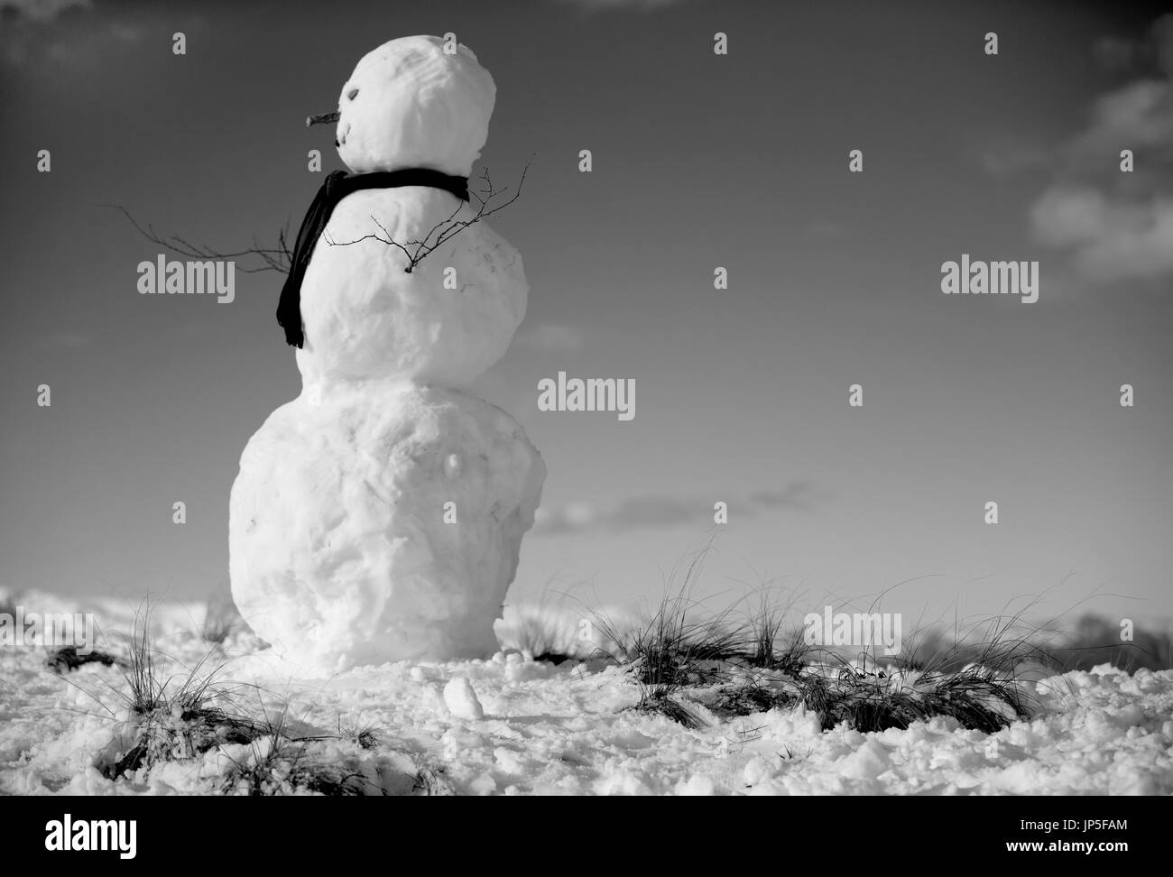 Vista laterale del pupazzo di neve con sciarpa e ramoscelli come armi. Foto Stock