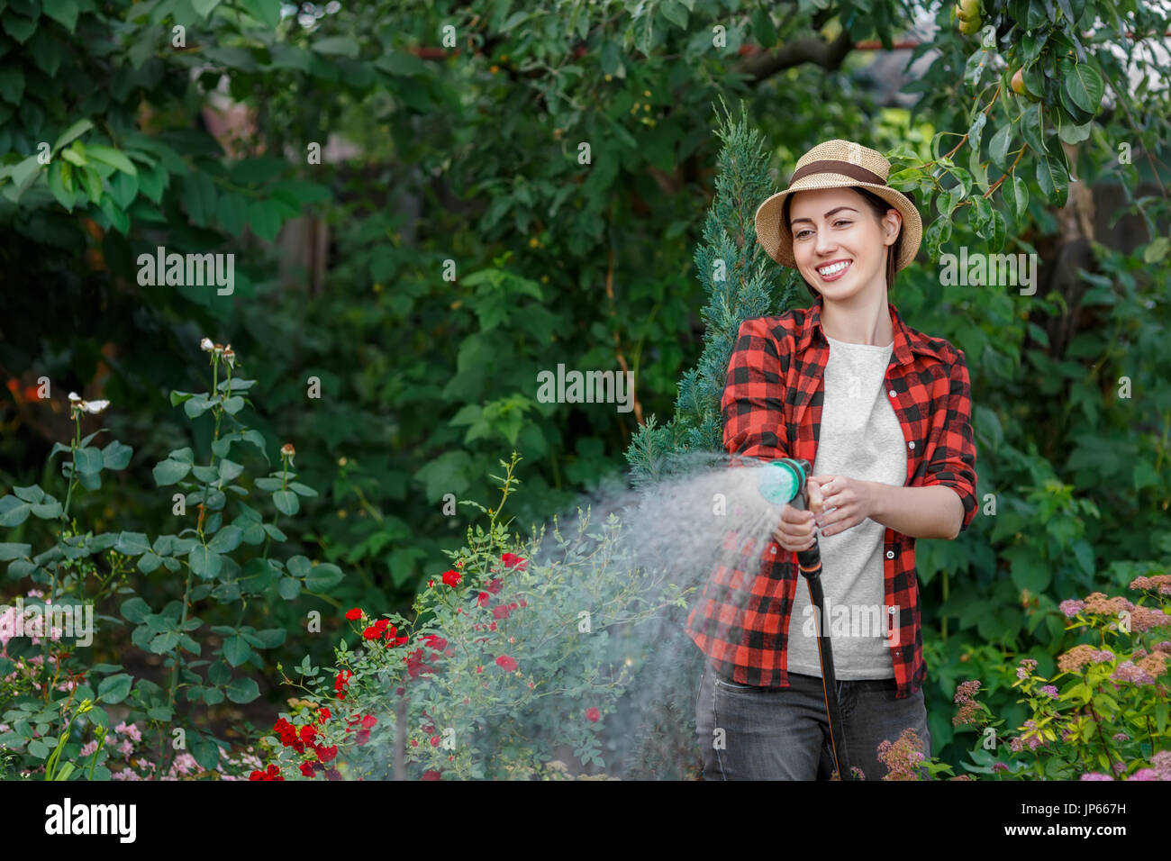 Donna giardiniere giardino di irrigazione Foto Stock