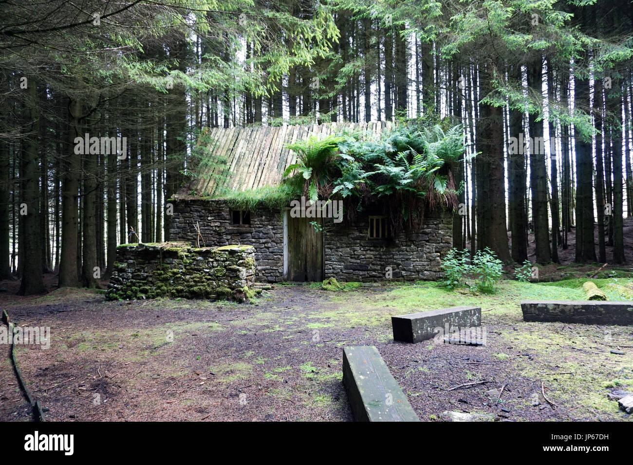 Abbandonato il vecchio rudere abbandonati costruito in pietra Casa nel Bosco Foto Stock