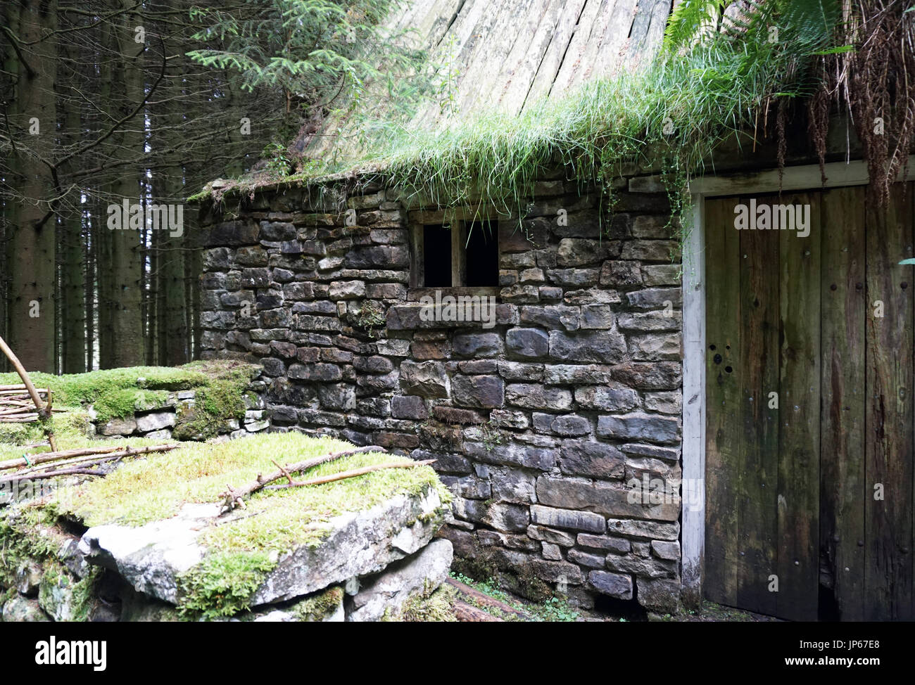 Abbandonato il vecchio rudere abbandonati costruito in pietra Casa nel Bosco Foto Stock