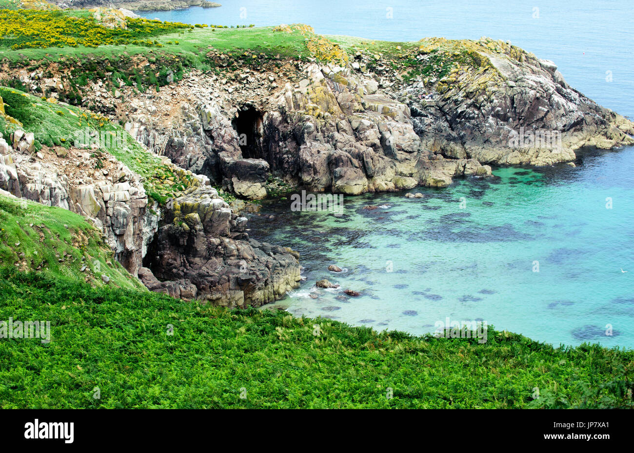 Splendida vista sull'isola Saltee sul tempo estivo, Irlanda Foto Stock