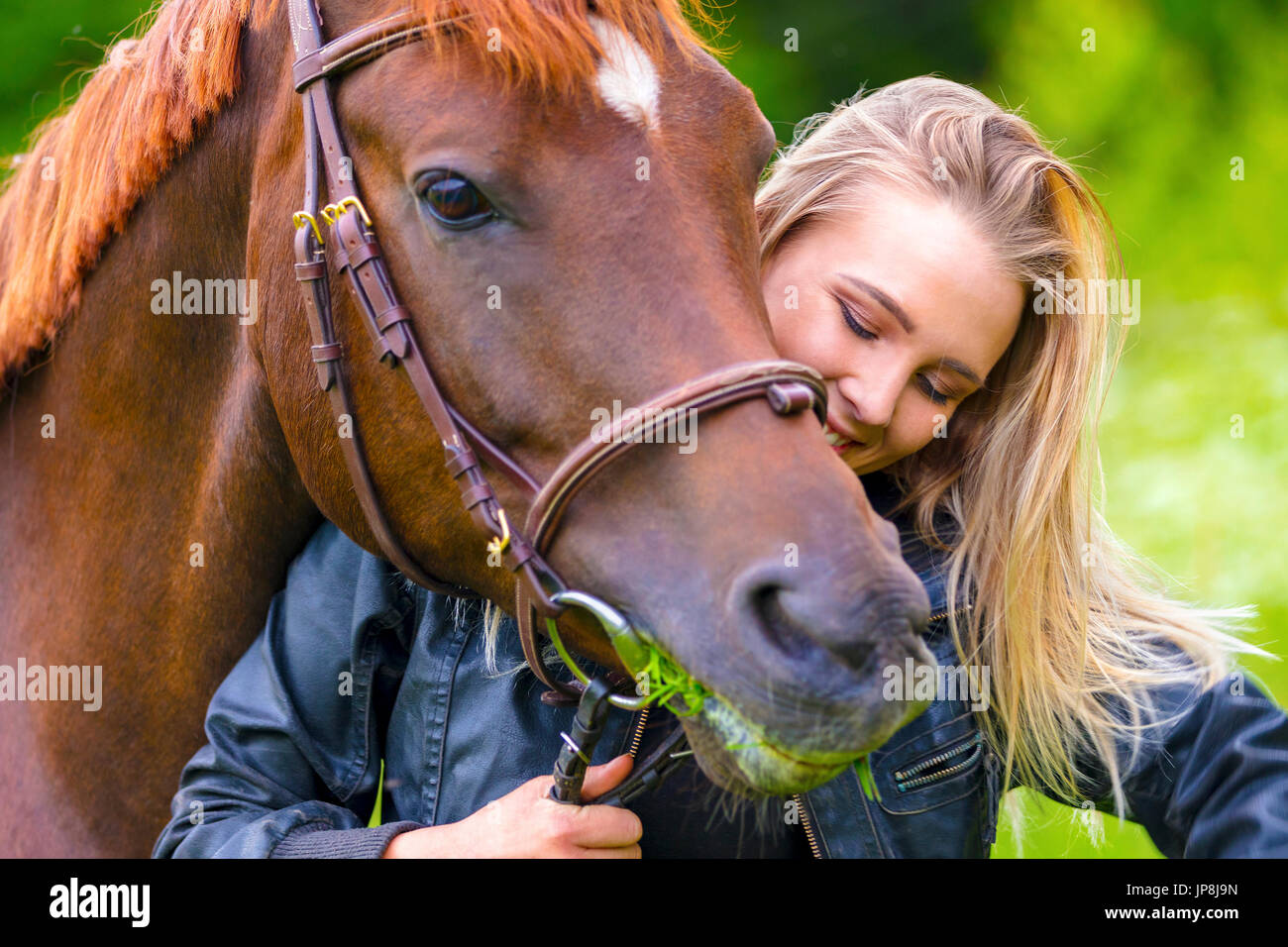 Bella donna alimentando il suo cavallo arabo con erba del campo Foto Stock