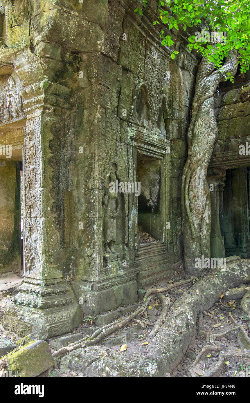 I resti di un tempio a Ta Prohm, Parco Archeologico di Angkor, Foto Stock