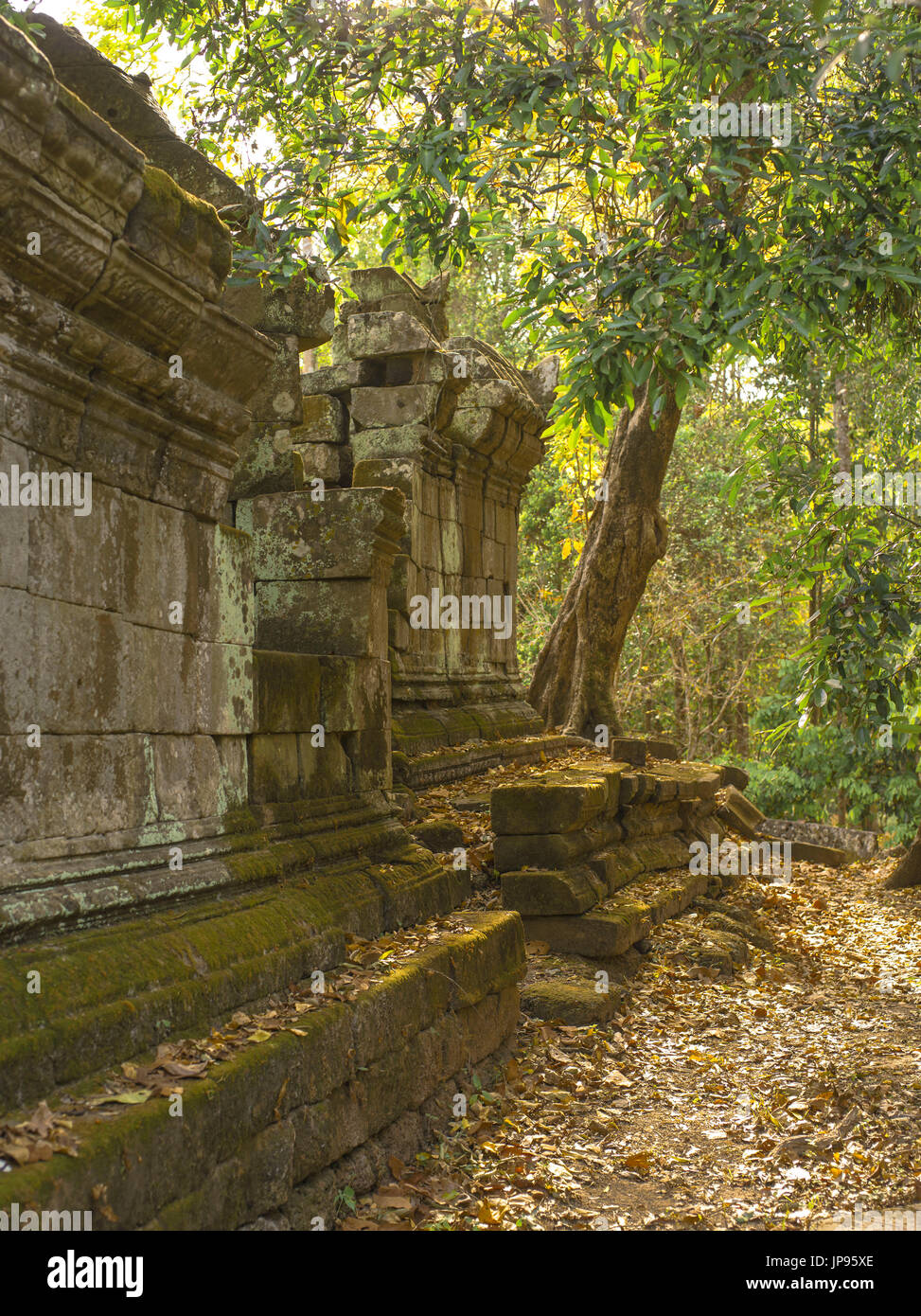 Rovine di Preah Pithu, Parco Archeologico di Angkor Foto Stock