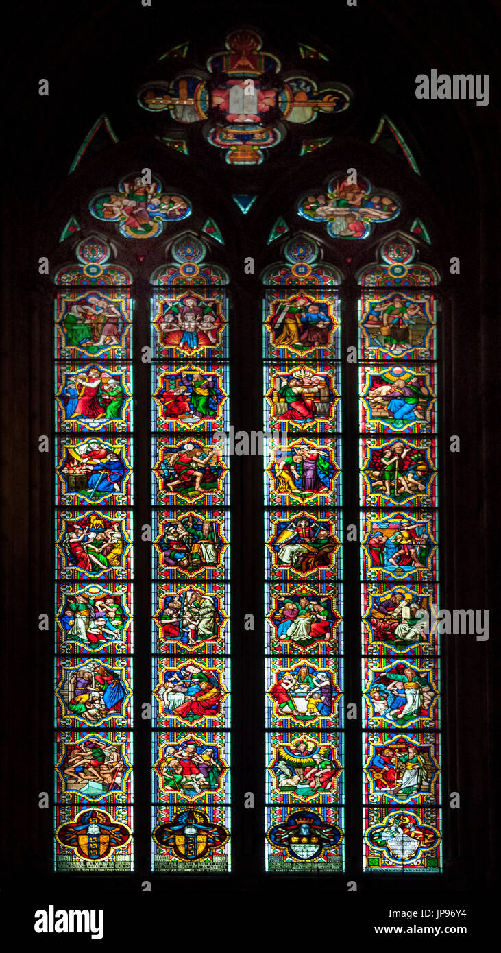 Finestra vetrerie, la cattedrale di Colonia, Germania Foto Stock
