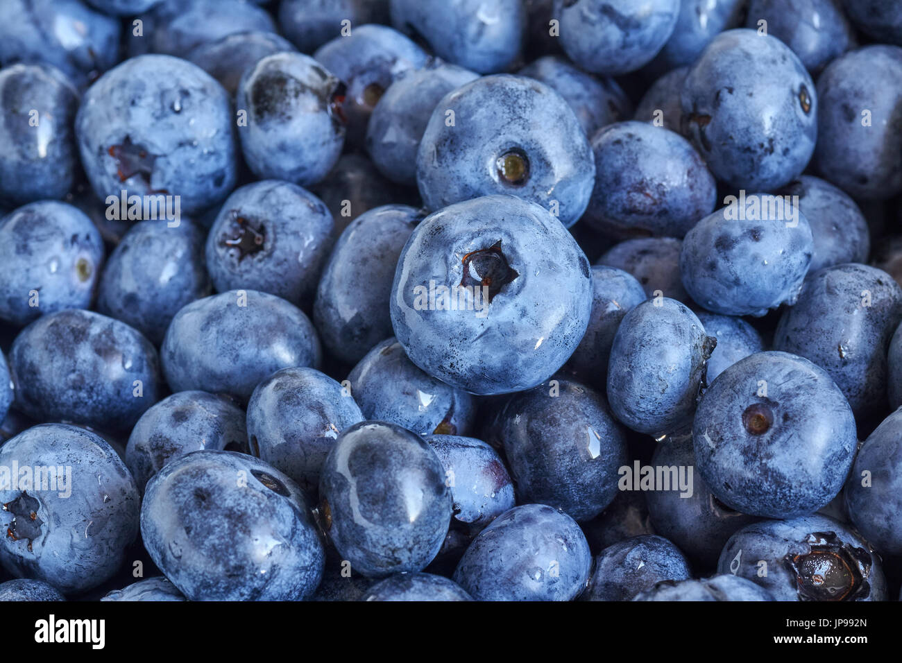 Close up foto di mature e di mirtilli freschi, profondità di campo. Foto Stock