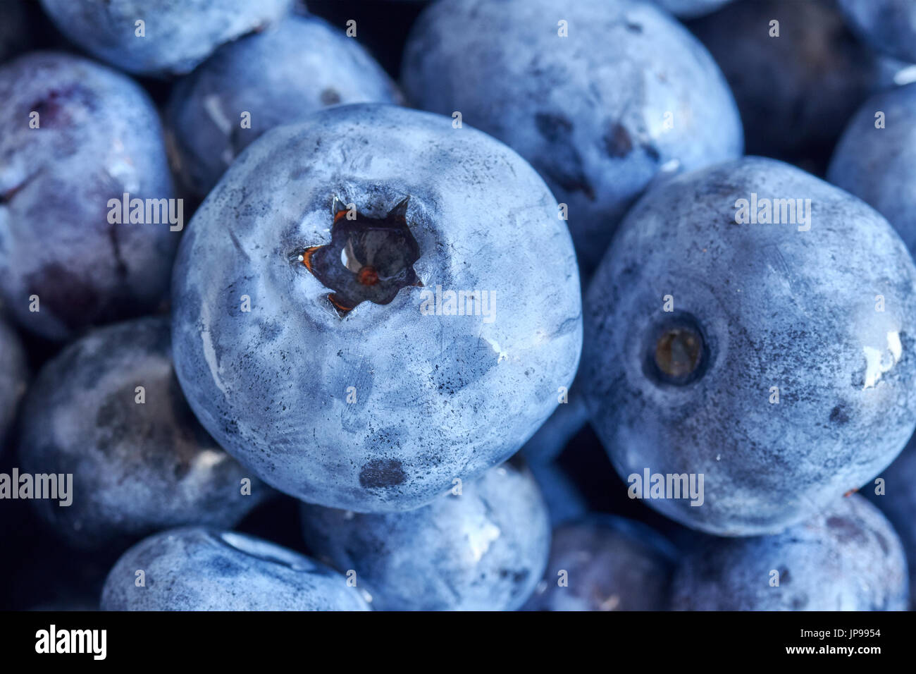 Extreme close up foto di mature e di mirtilli freschi, profondità di campo. Foto Stock