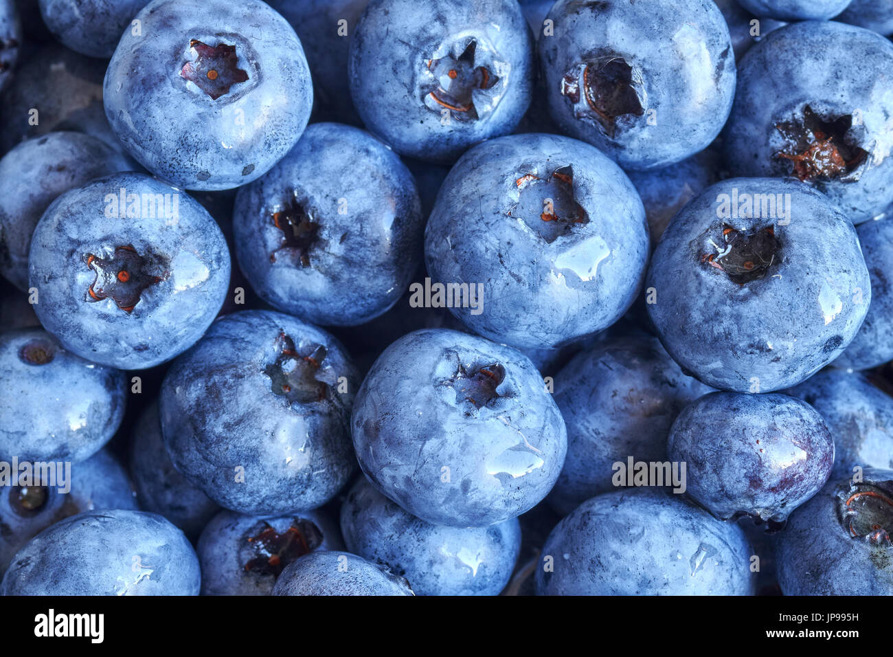 Close up foto di mature e di mirtilli freschi, profondità di campo. Foto Stock
