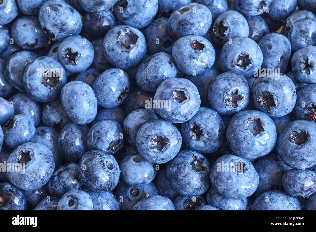 Close up foto di mature e di mirtilli freschi, profondità di campo. Foto Stock