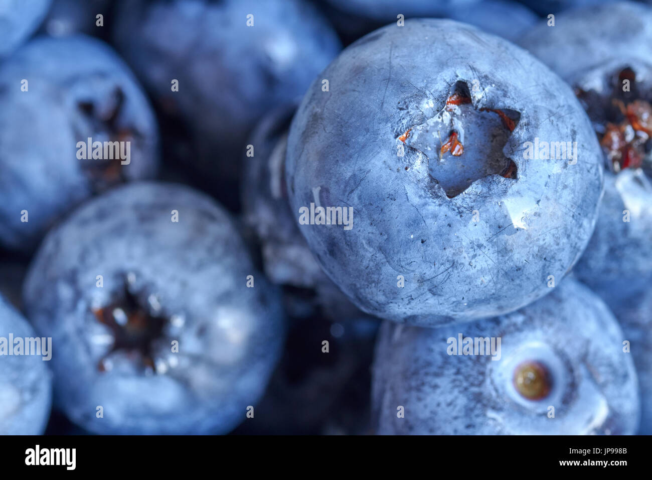 Extreme close up foto di mature e di mirtilli freschi, profondità di campo. Foto Stock