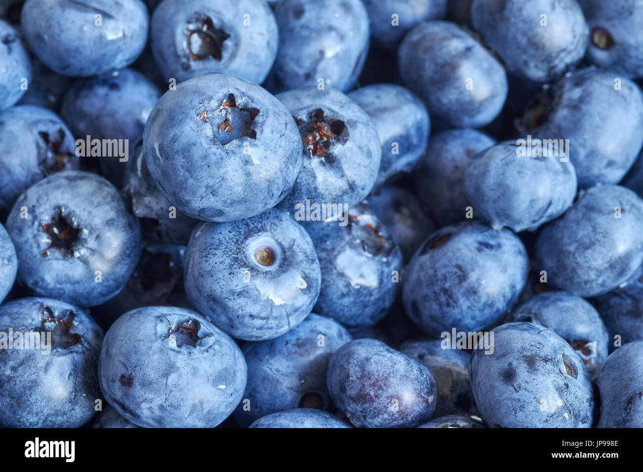 Close up foto di mature e di mirtilli freschi, profondità di campo. Foto Stock