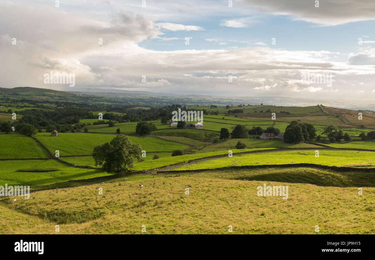 Nell Inghilterra del nord vista del paesaggio - Stainmore, Cumbria, England, Regno Unito Foto Stock