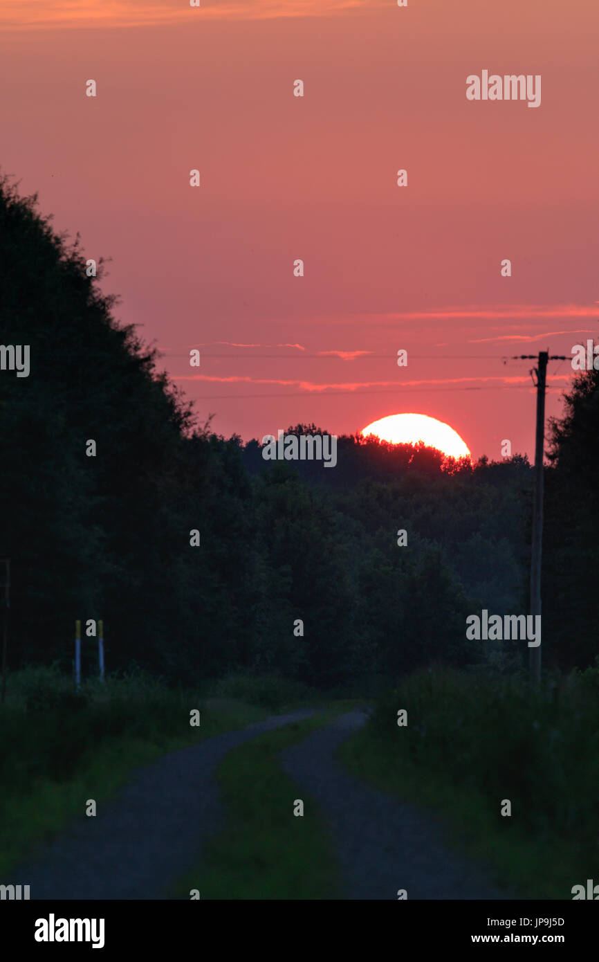 Tramonto al pomello calva Wildlife Refuge in Bald manopola Arkansas. Foto Stock