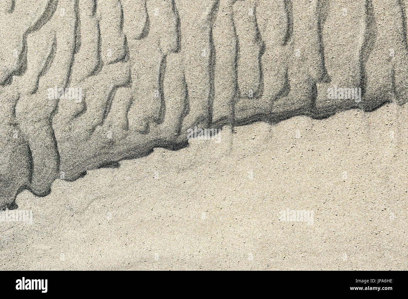 Scienze naturali, di sabbia sulla spiaggia, close-up Foto Stock