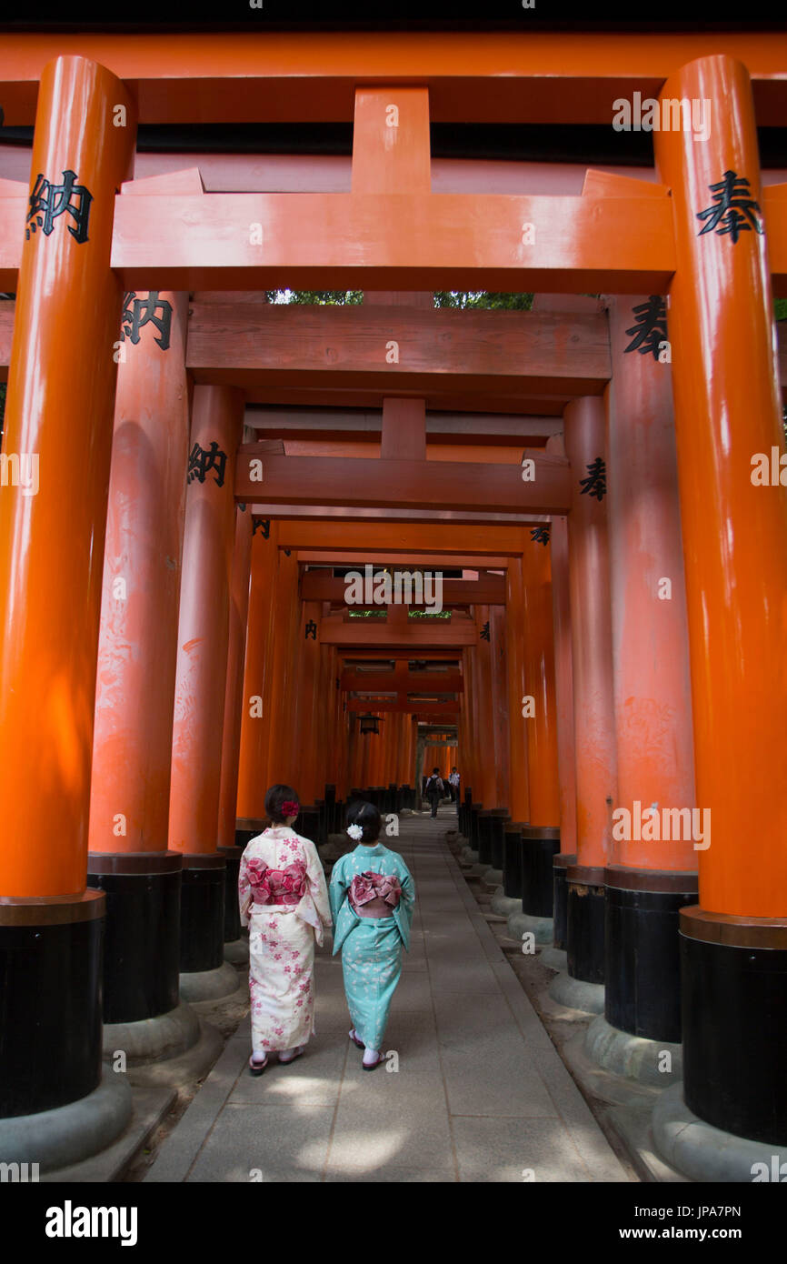 Giappone, Kyoto City, Fushimi-Inari Taisha, Toriies Foto Stock