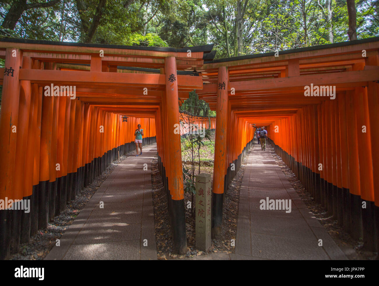 Giappone, Kyoto City, Fushimi-Inari Taisha, Toriies Foto Stock