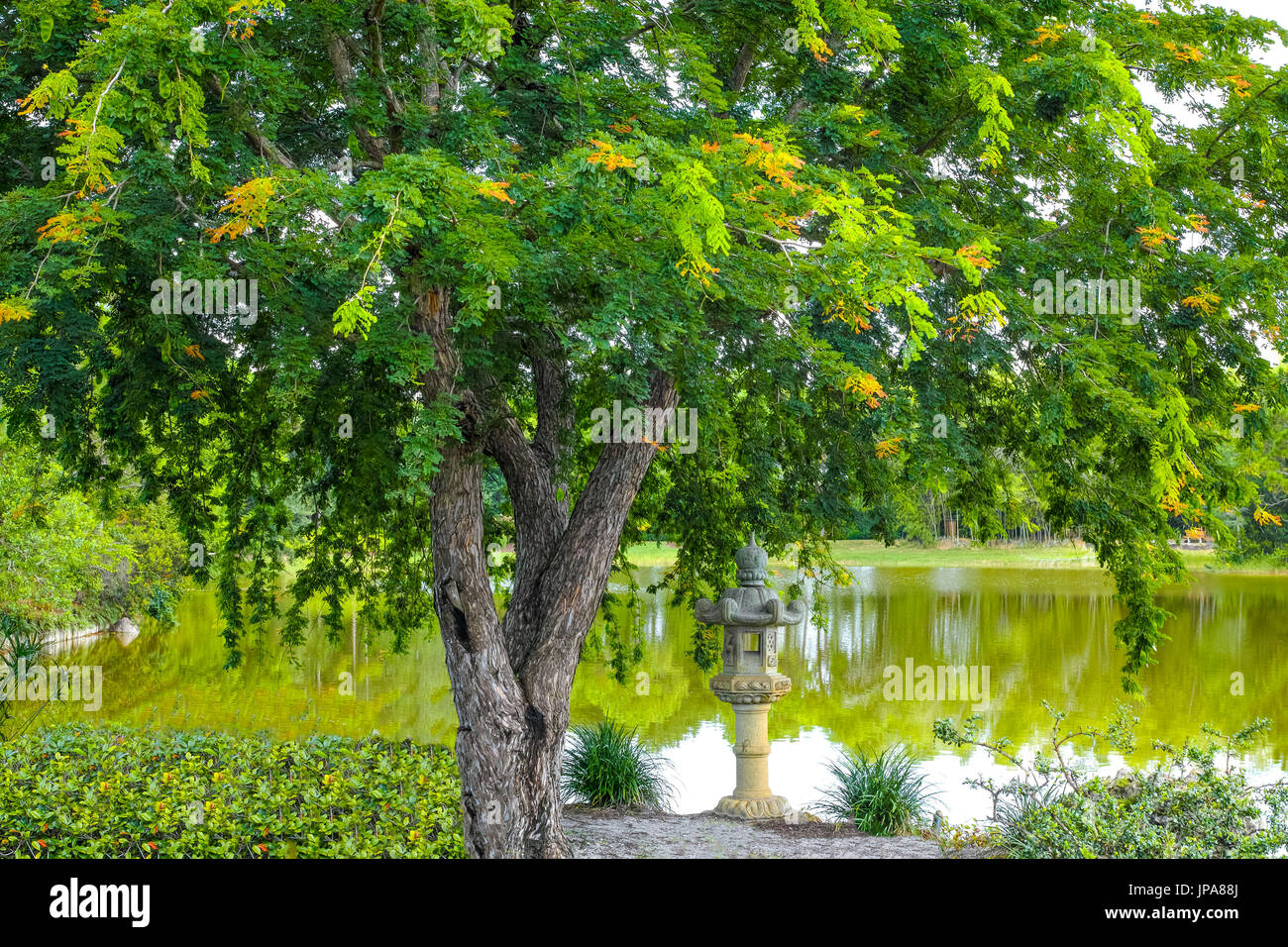 Morikami Giardini Giapponesi, Delray Beach, Florida, Stati Uniti d'America Foto Stock