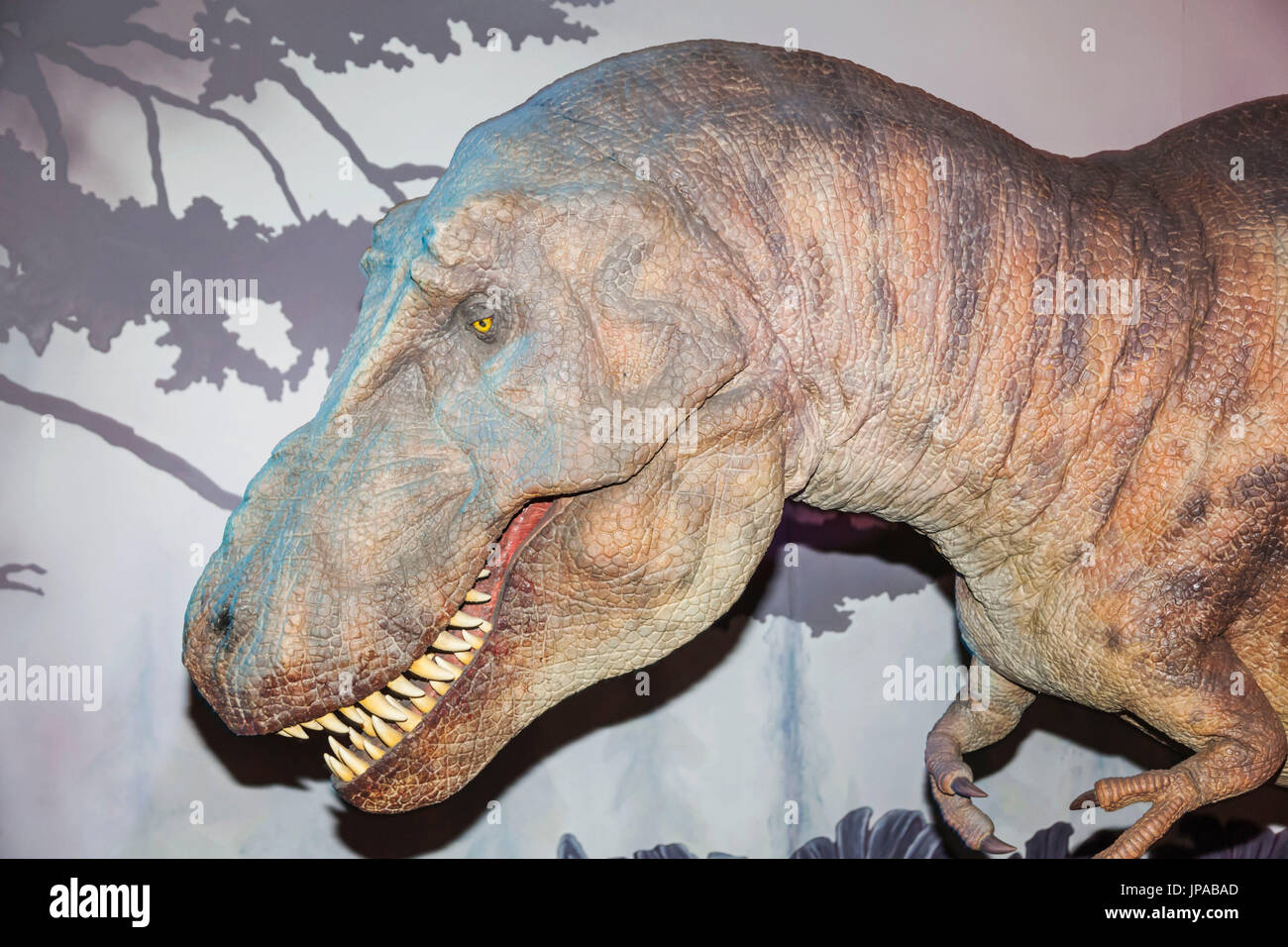 Inghilterra, Londra, Museo di Storia Naturale, mostre di meccanica T-Rex dinosauro Foto Stock