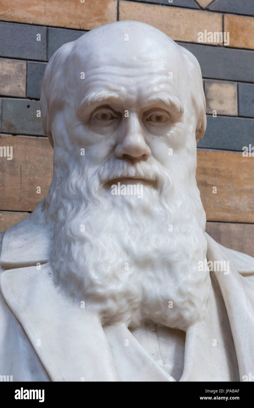 Inghilterra, Londra, Museo di Storia Naturale, Statua di Charles Darwin Foto Stock