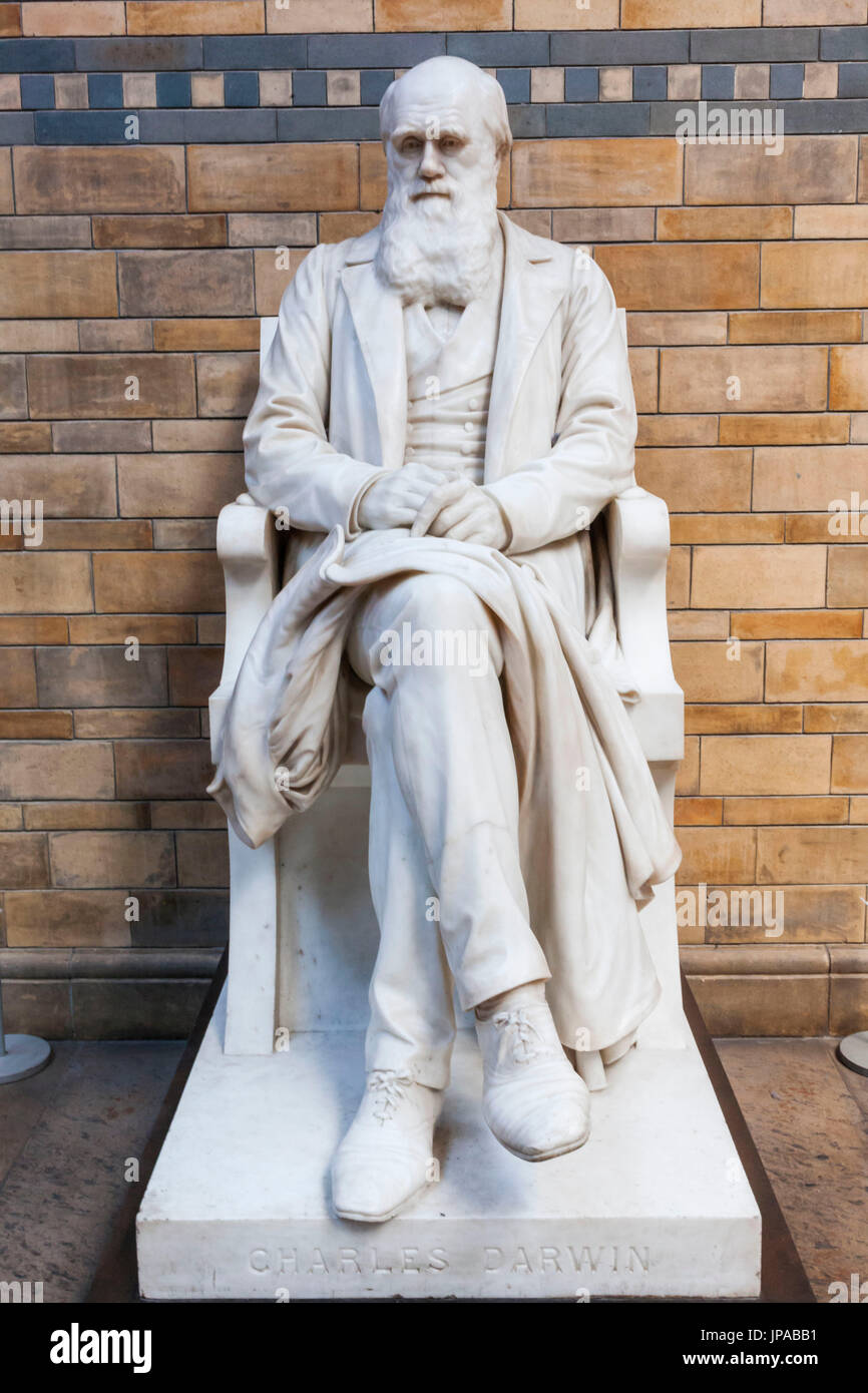 Inghilterra, Londra, Museo di Storia Naturale, Statua di Charles Darwin Foto Stock