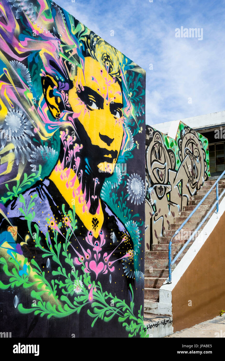 Graffiti, Wynwood Art District, Miami, Florida, Stati Uniti d'America Foto Stock