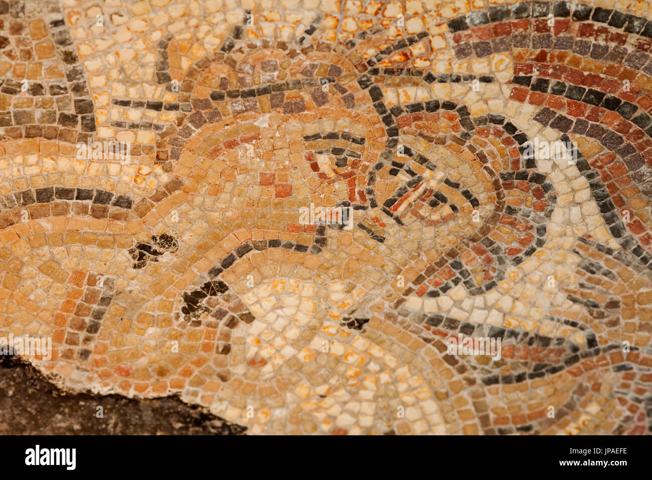 Inghilterra, Gloucestershire, Cotswolds, Chedworth Roman Villa, mosaico raffigurante amare giovane Foto Stock