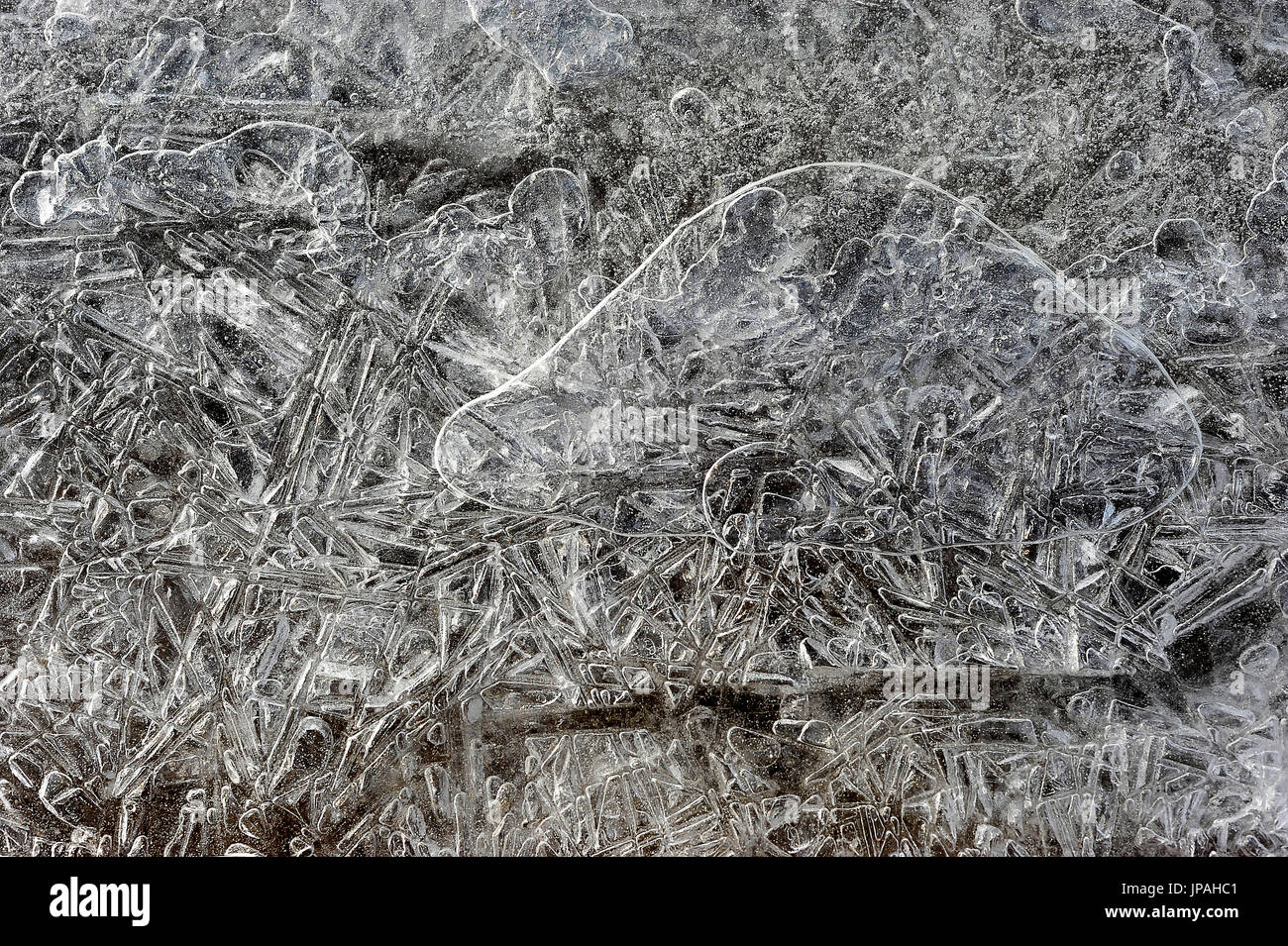 Ice-cristalli Foto Stock