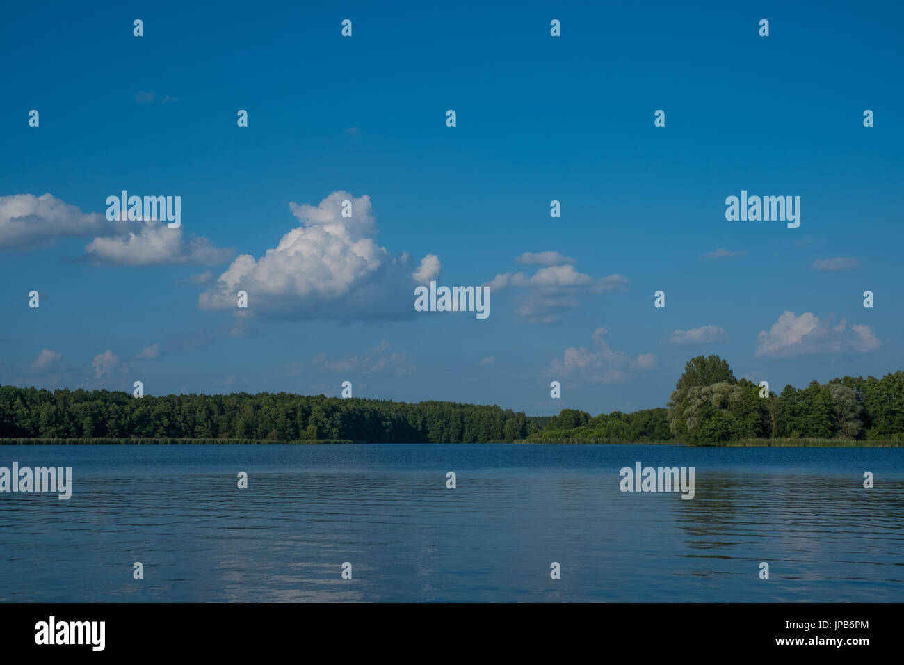 Lago, alberi e cielo blu - Paesaggio estivo Foto Stock