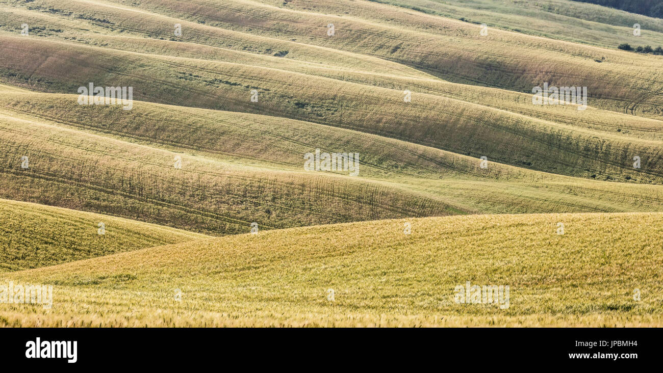 Le forme curve delle colline multicolore delle Crete Senesi (Crete Senesi) provincia di Siena Toscana Italia Europa Foto Stock