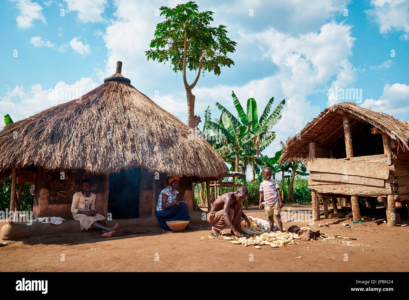 Tradizionale lavoro in un villaggio tribale di Africa, Queen Elizabeth National Park, Kasese, Rwenzururu sub-regione, Uganda occidentale, Uganda, Africa Foto Stock