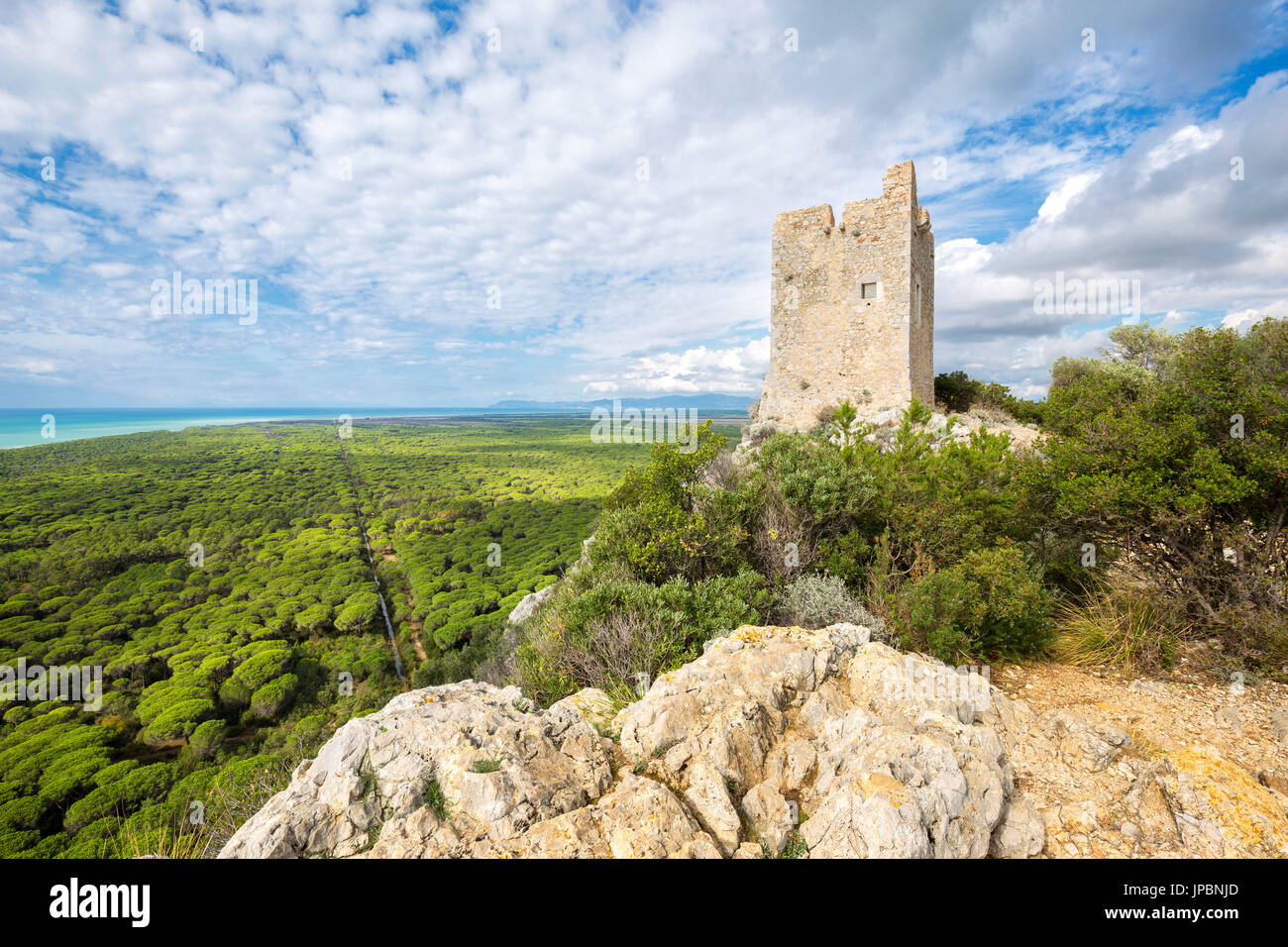 Vista panoramica sul Parco della Maremma dalla Torre di Castelmarino. Torre di Castelmarino(Torre di Castelmarino), Alberese, Parco della Maremma(Parco della Maremma, Grosseto, provincia di Grosseto, Toscana, Italia, Europa Foto Stock