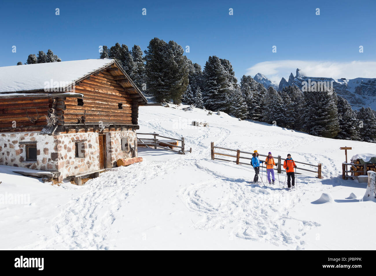 Un gruppo di escursionisti durante una escursioni con le racchette da neve in Val Gardena, la provincia di Bolzano, Alto Adige, Trentino Alto Adige, Italia, Europa Foto Stock