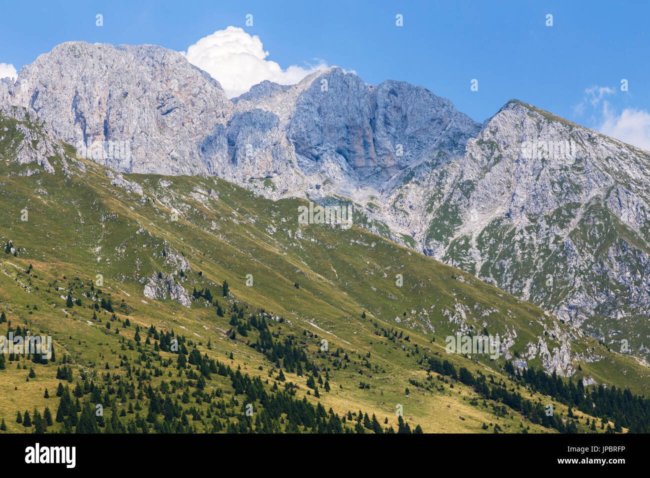 Il sentiero per la Baita Cornetto, sotto la Presolana montagna, Castione della Presolana, Val Seriana, distretto di Bergamo, Lombardia, Italia. Foto Stock