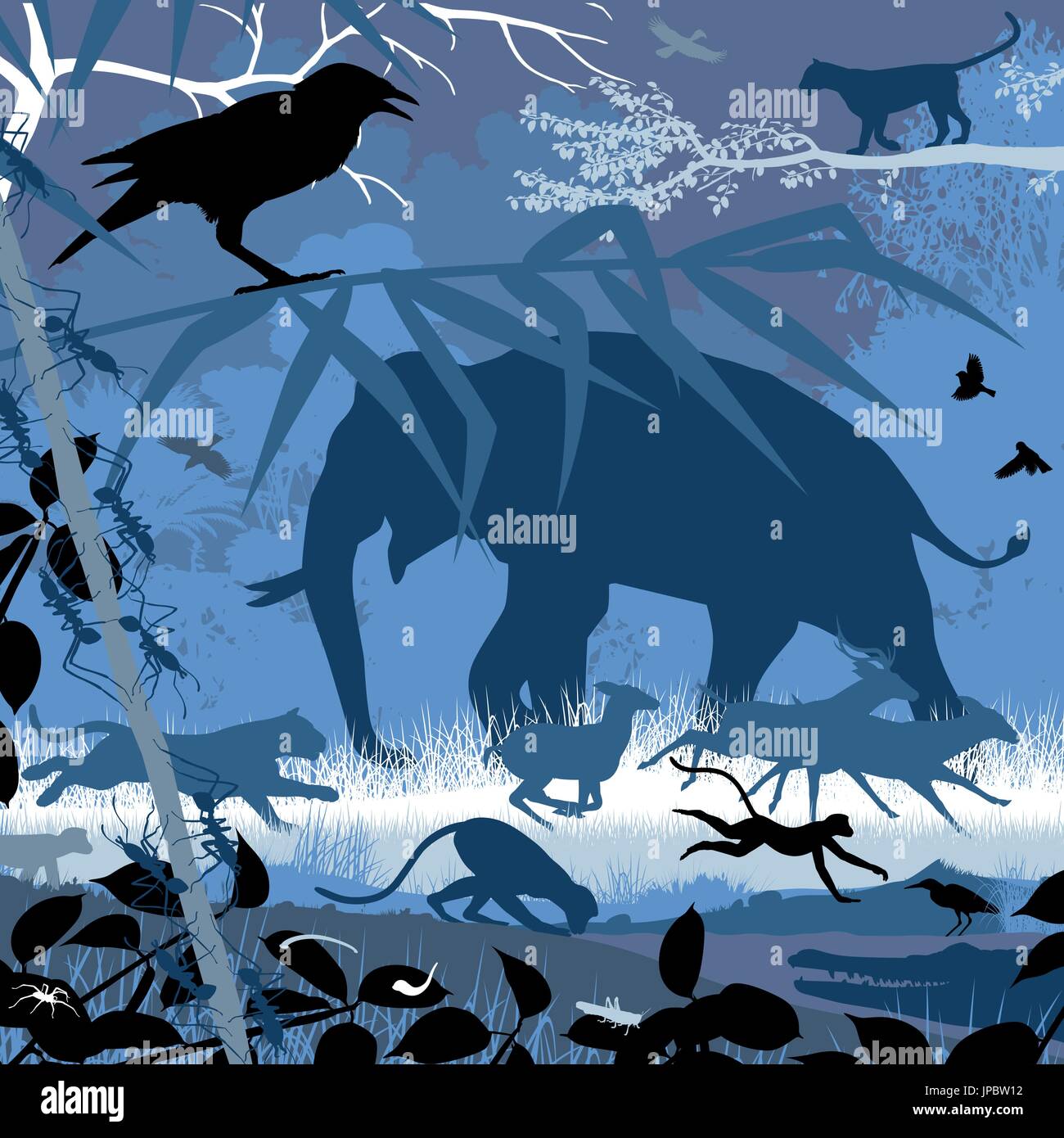 Modificabile illustrazione vettoriale di vari animali selvatici asiatici in habitat naturali Illustrazione Vettoriale