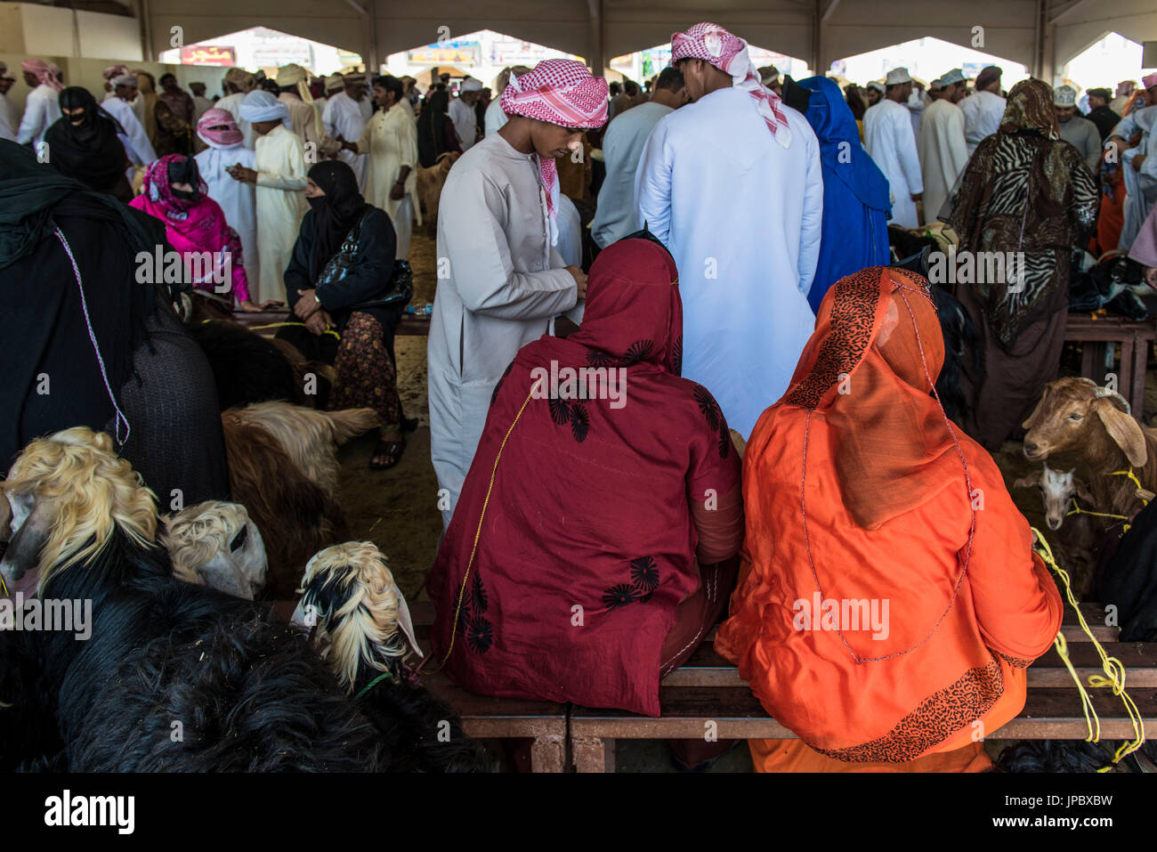 Sinaw, Sultanato di Oman, Midle East. Mercato di animali. Foto Stock