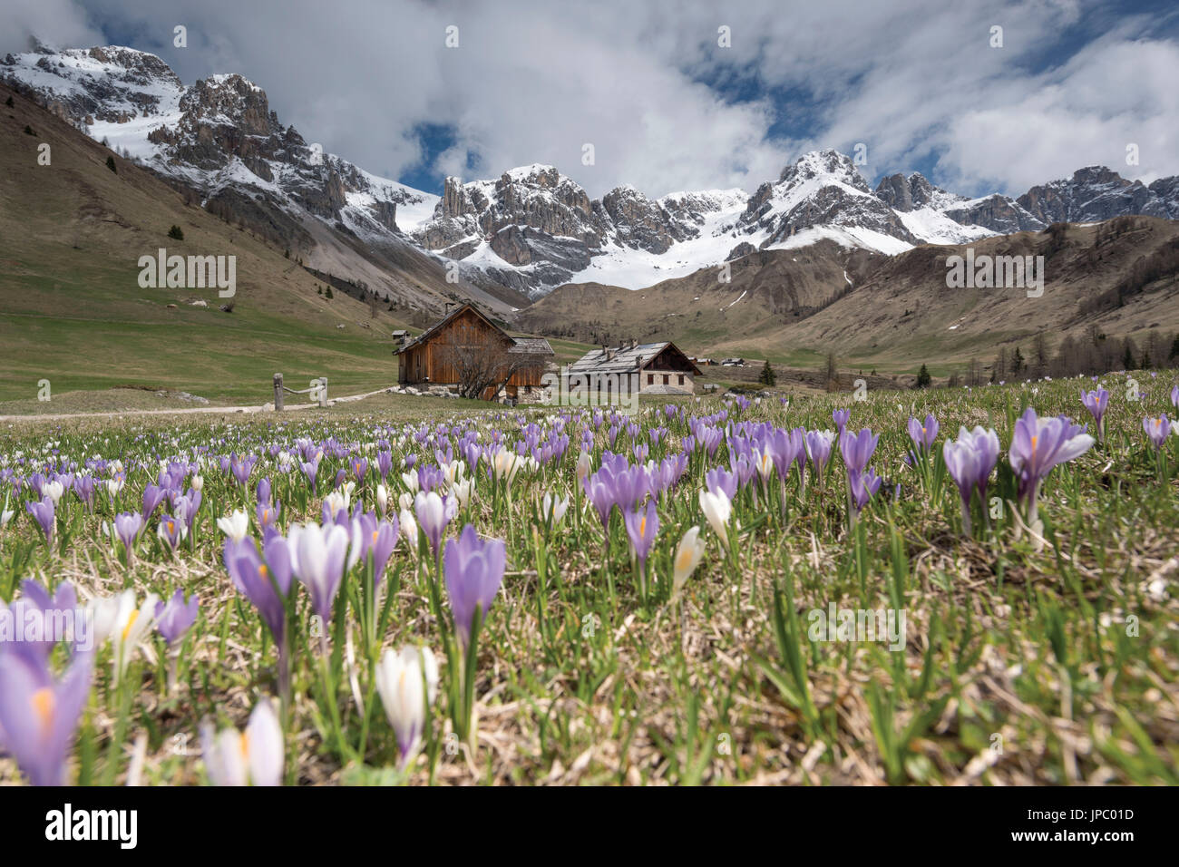 L'Europa, Trentino, Dolomiti, Italia, San Pellegrino valley,Val di Fassa,Comune di Moena,Regione Trentino-Alto Adige Foto Stock