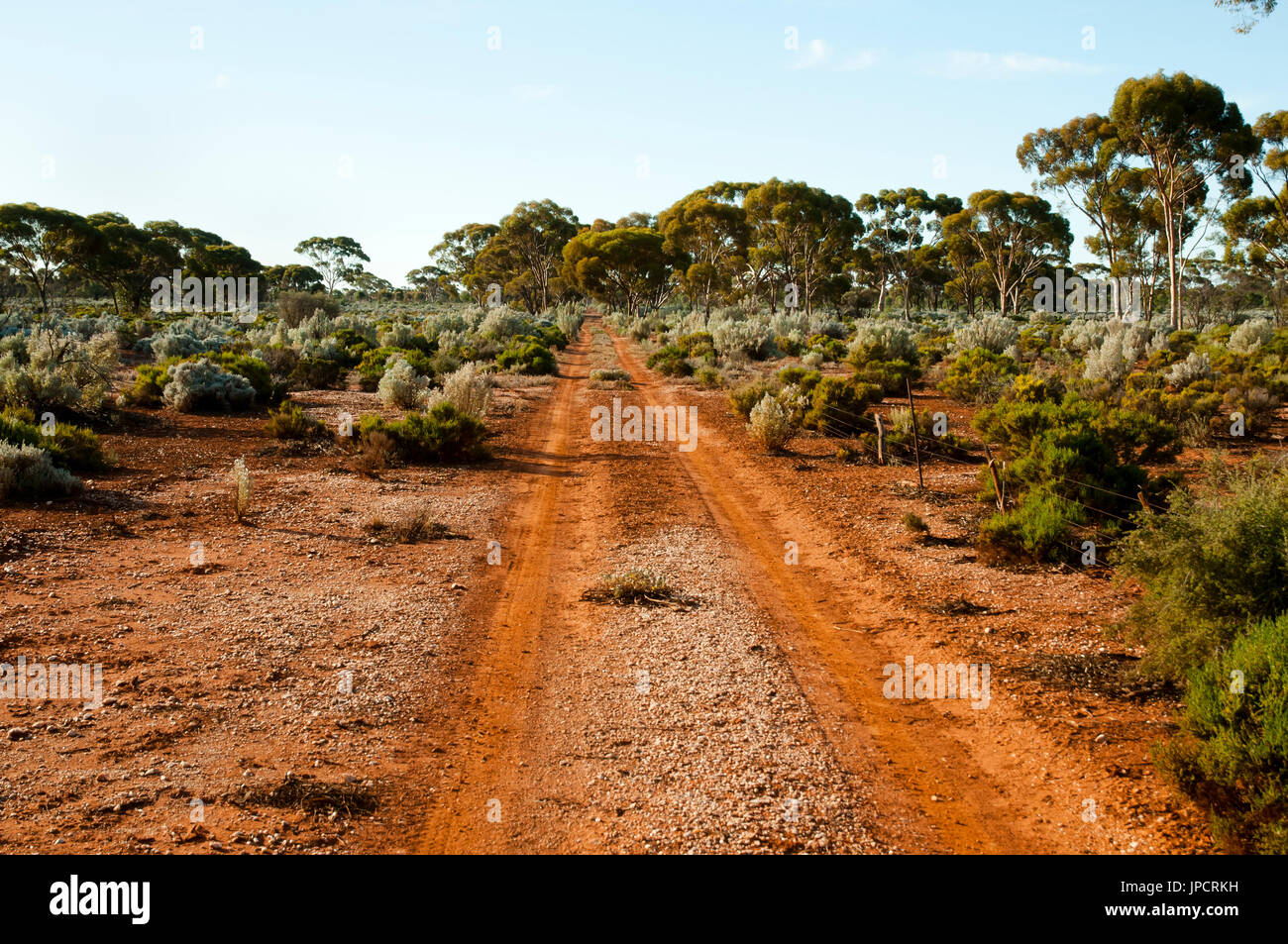 Off Road via nell'Outback Foto Stock