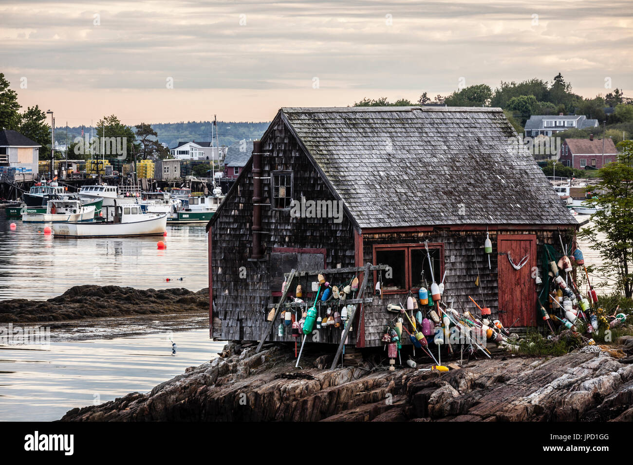 Lobster Shack   Sgombro Cove, Maine, Stati Uniti d'America Foto Stock