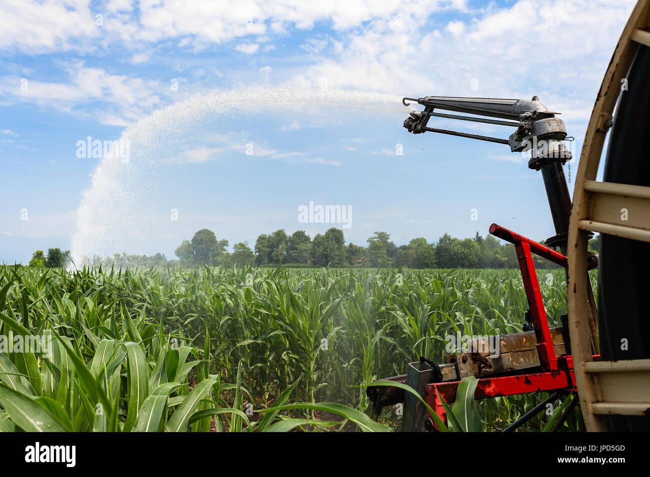 Attrezzatura agricola. Attrezzature per pompare acqua sul campo di grano.soffione di erogazione dell'acqua Foto Stock