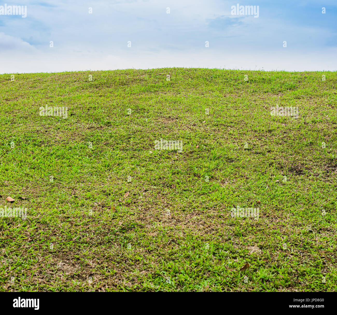 Erba verde campo sulla piccola collina e il cielo blu con nuvole, belle colline verde primavera Foto Stock