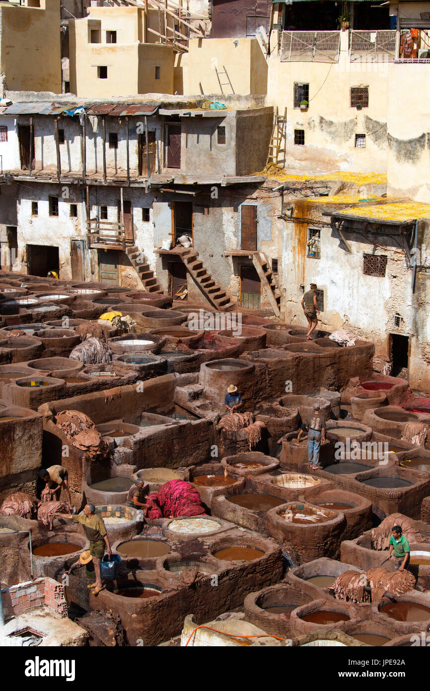 Nord Africa,Marocco,quartiere Fes,Conceria di Fez,Chouara conceria. Lavorazione del cuoio Foto Stock